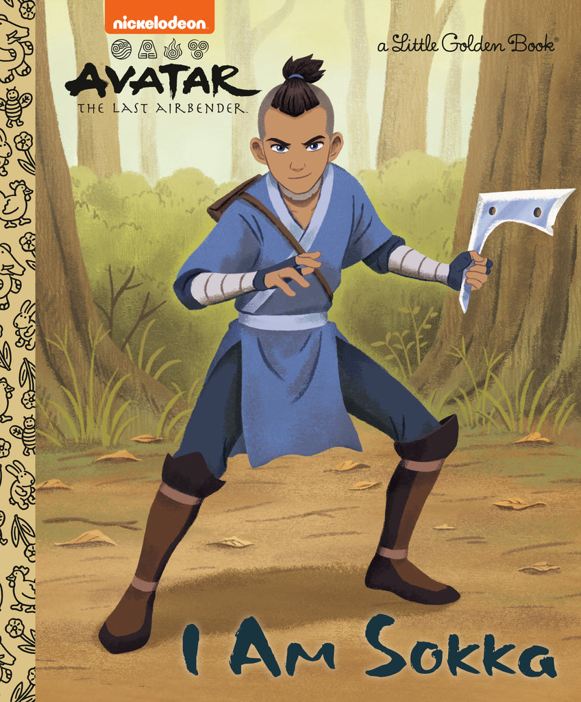 I Am Sokka (Avatar: The Last Airbender)